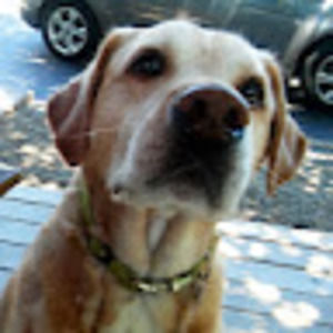 Meet your Posher, Tim